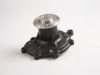 HEPU P7135 Water Pump